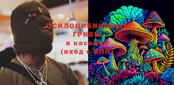 ГАЛЛЮЦИНОГЕННЫЕ ГРИБЫ Арсеньев