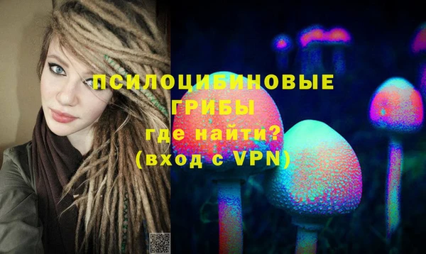 ГАЛЛЮЦИНОГЕННЫЕ ГРИБЫ Арсеньев