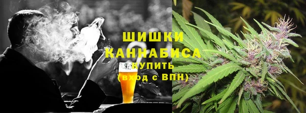 ГАЛЛЮЦИНОГЕННЫЕ ГРИБЫ Арсеньев